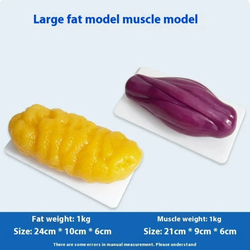 Réplicas de Músculo y Grasa Hu - Nutrition Fitness reseña y precio